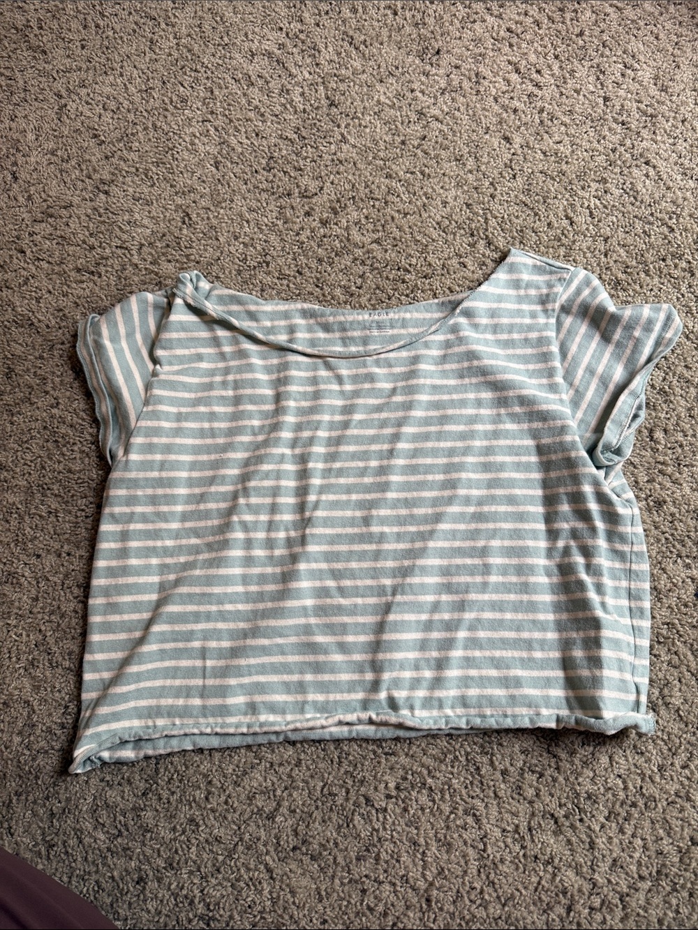 American Eagle Outfitters Light Blue & White Striped Crop Top